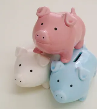 敷金礼金0の写真